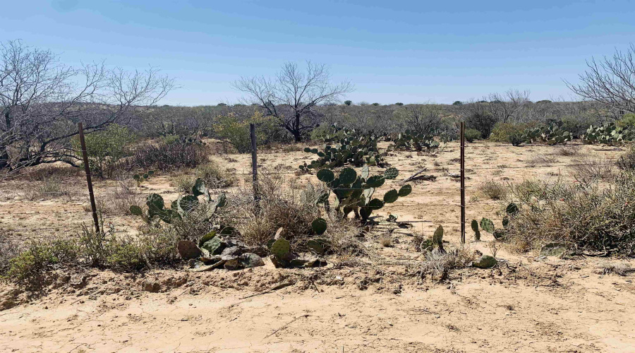 3459 N U.S. Hwy 83, Zapata, Texas 78076, ,Land,For Sale,3459 N U.S. Hwy 83,20254952