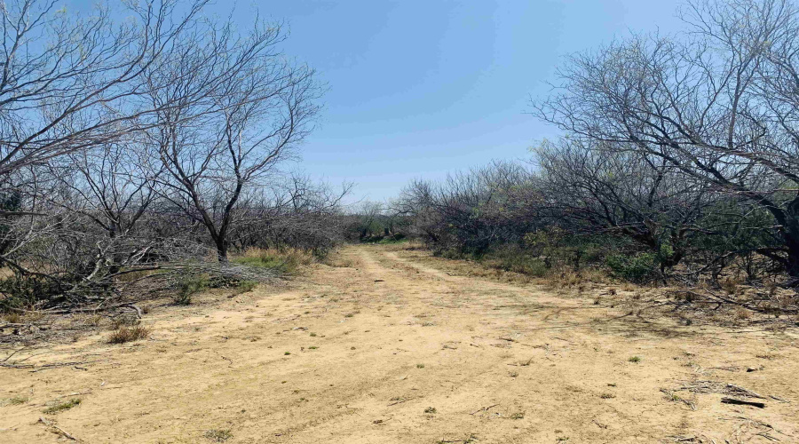 3459 N U.S. Hwy 83, Zapata, Texas 78076, ,Land,For Sale,3459 N U.S. Hwy 83,20254952