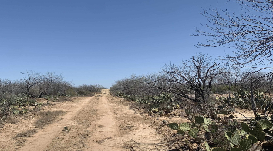3459 N U.S. Hwy 83, Zapata, Texas 78076, ,Land,For Sale,3459 N U.S. Hwy 83,20254952