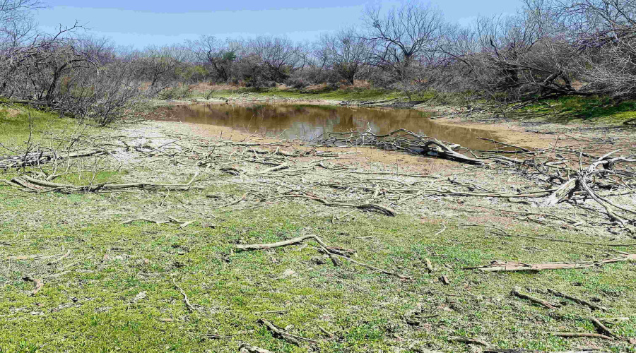 3459 N U.S. Hwy 83, Zapata, Texas 78076, ,Land,For Sale,3459 N U.S. Hwy 83,20254952