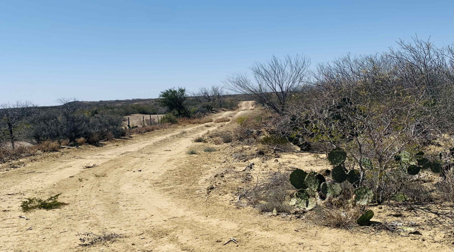 3459 N U.S. Hwy 83, Zapata, Texas 78076, ,Land,For Sale,3459 N U.S. Hwy 83,20254952