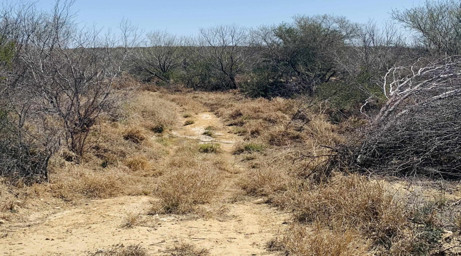 3459 N U.S. Hwy 83, Zapata, Texas 78076, ,Land,For Sale,3459 N U.S. Hwy 83,20254952