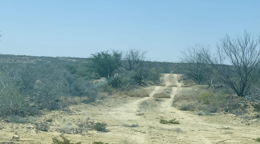 3459 N U.S. Hwy 83, Zapata, Texas 78076, ,Land,For Sale,3459 N U.S. Hwy 83,20254952