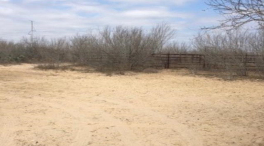 ABST 209 J V Borrego, Zapata, Texas 78067, ,Land,For Sale,ABST 209 J V Borrego,20254977