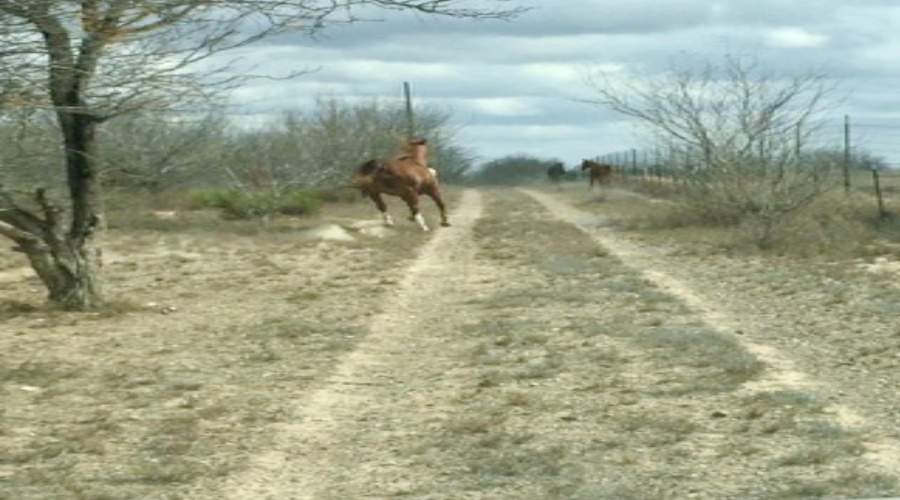 ABST 209 J V Borrego, Zapata, Texas 78067, ,Land,For Sale,ABST 209 J V Borrego,20254977
