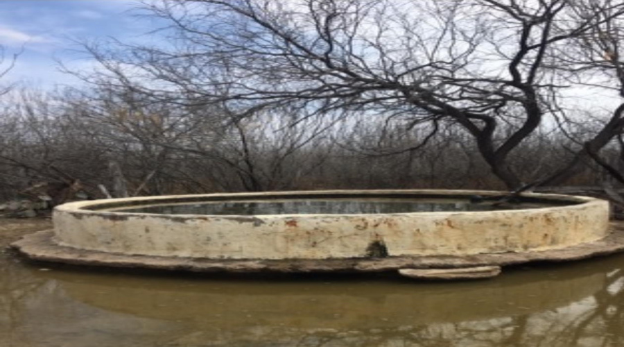 ABST 209 J V Borrego, Zapata, Texas 78067, ,Land,For Sale,ABST 209 J V Borrego,20254977