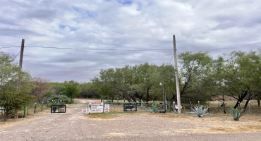 ABST 209 J V Borrego, San Ygnacio, Texas 78067, ,Land,For Sale,ABST 209 J V Borrego,20254977