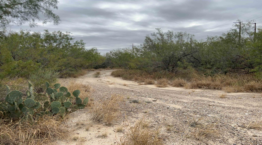 ABST 209 J V Borrego, Zapata, Texas 78067, ,Land,For Sale,ABST 209 J V Borrego,20254977