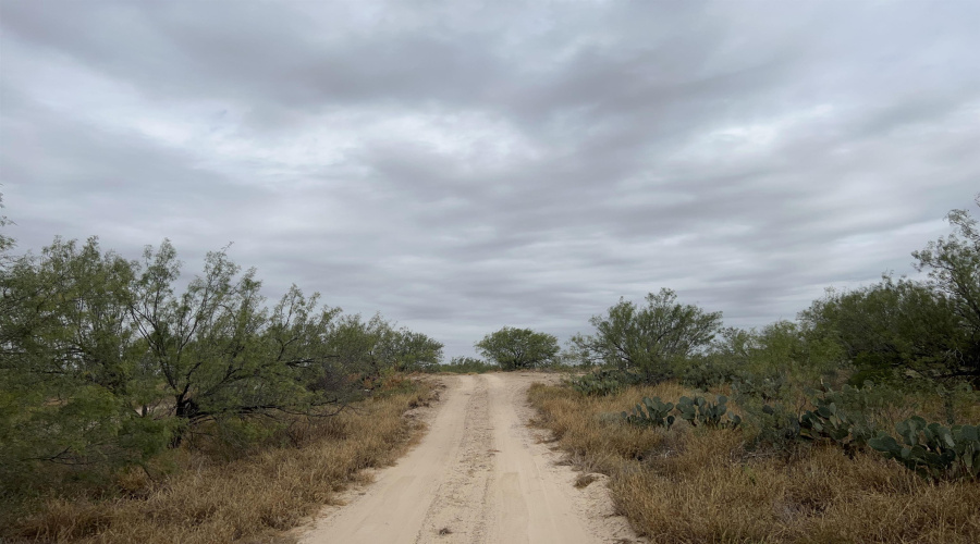 ABST 209 J V Borrego, Zapata, Texas 78067, ,Land,For Sale,ABST 209 J V Borrego,20254977