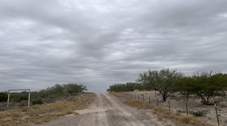 ABST 209 J V Borrego, Zapata, Texas 78067, ,Land,For Sale,ABST 209 J V Borrego,20254977