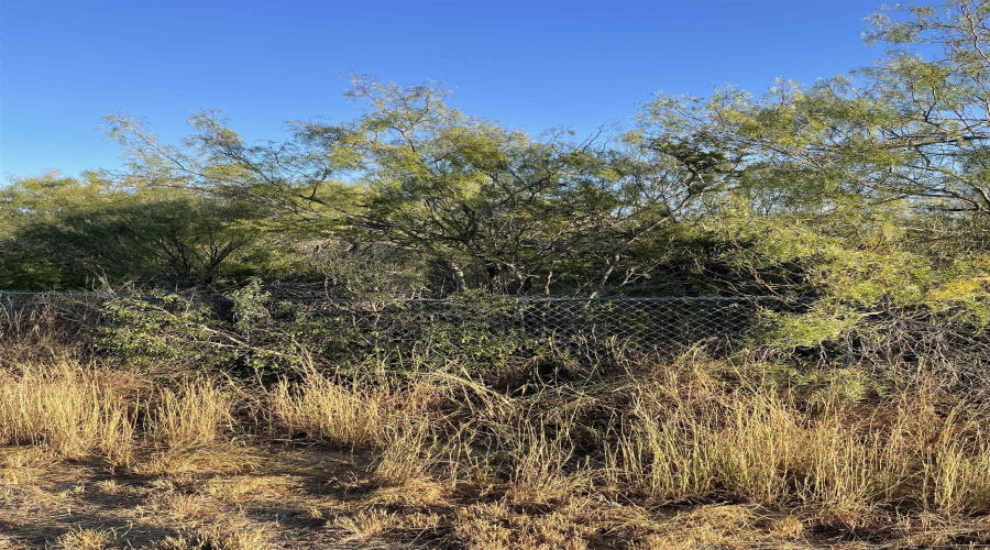 Lots 3 -5 Falcon Mesa, Zapata, Texas 78076, ,Land,For Sale,Lots 3 -5 Falcon Mesa,20255017