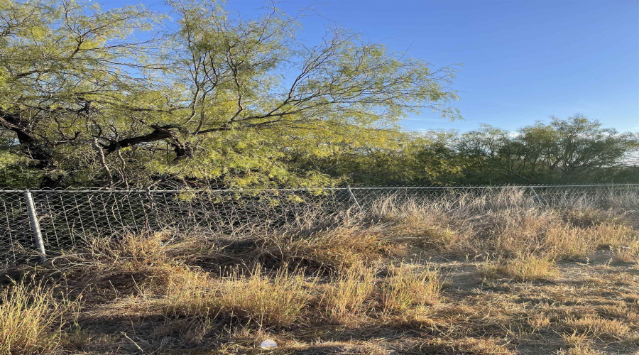 Lots 3 -5 Falcon Mesa, Zapata, Texas 78076, ,Land,For Sale,Lots 3 -5 Falcon Mesa,20255017