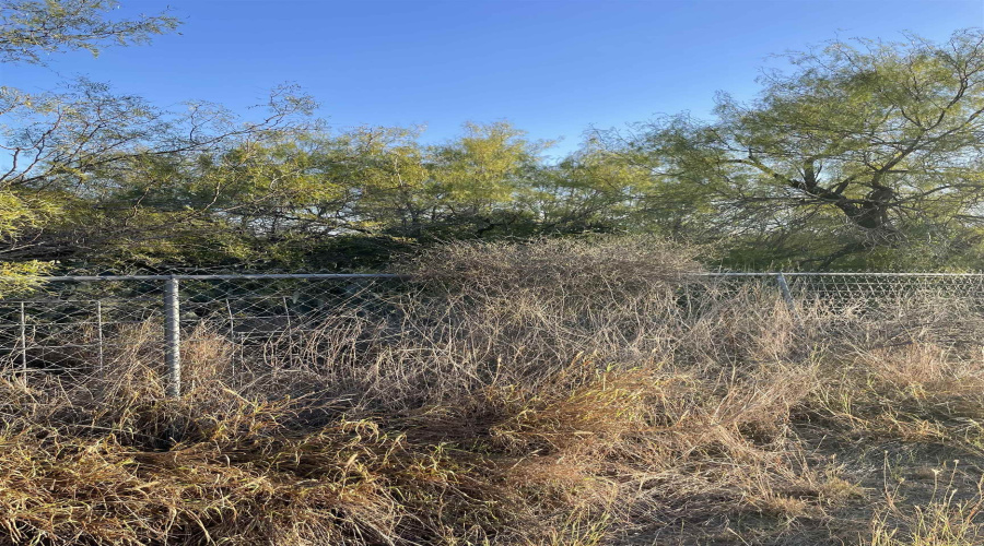 Lots 3 -5 Falcon Mesa, Zapata, Texas 78076, ,Land,For Sale,Lots 3 -5 Falcon Mesa,20255017