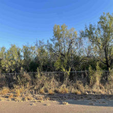 Lots 6 -8 Falcon Mesa, Zapata, Texas 78076, ,Land,For Sale,Lots 6 -8 Falcon Mesa,20255018
