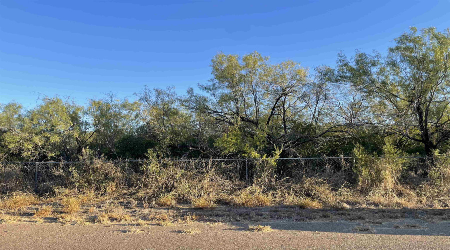 Lots 6 -8 Falcon Mesa, Zapata, Texas 78076, ,Land,For Sale,Lots 6 -8 Falcon Mesa,20255018