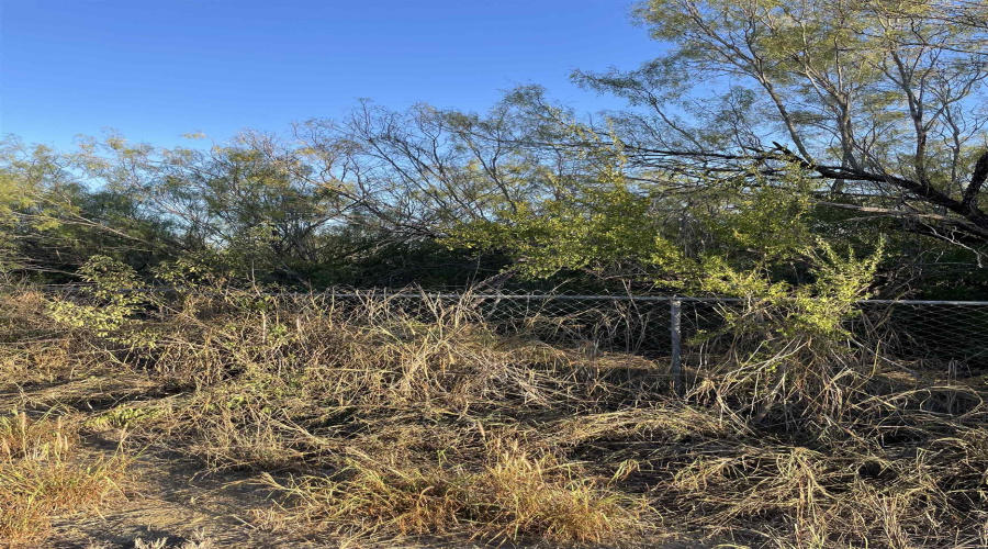 Lots 6 -8 Falcon Mesa, Zapata, Texas 78076, ,Land,For Sale,Lots 6 -8 Falcon Mesa,20255018