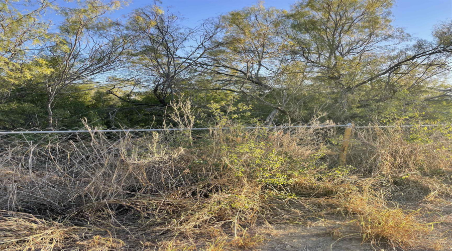 Lots 6 -8 Falcon Mesa, Zapata, Texas 78076, ,Land,For Sale,Lots 6 -8 Falcon Mesa,20255018