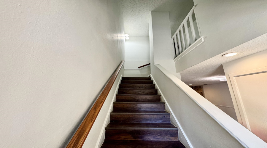 200 Martingale Ln, Laredo, Texas 78041, 2 Bedrooms Bedrooms, 5 Rooms Rooms,2 BathroomsBathrooms,Residential,For Rent,200 Martingale Ln,20255012