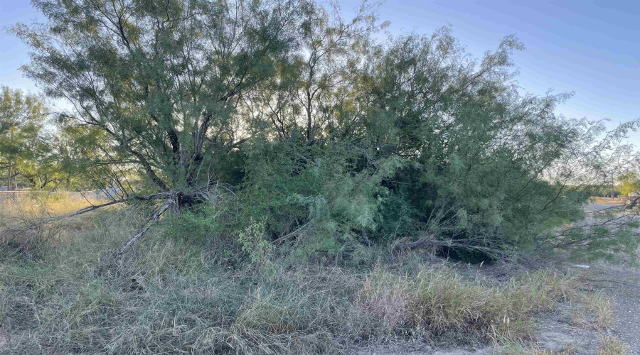 Lot 11 Falcon Mesa, Zapata, Texas 78076, ,Land,For Sale,Lot 11 Falcon Mesa,20255020