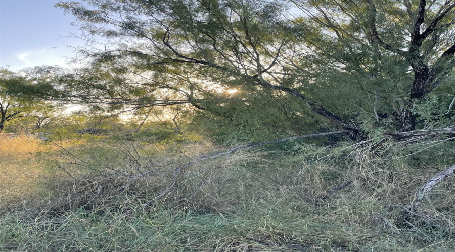 Lot 11 Falcon Mesa, Zapata, Texas 78076, ,Land,For Sale,Lot 11 Falcon Mesa,20255020