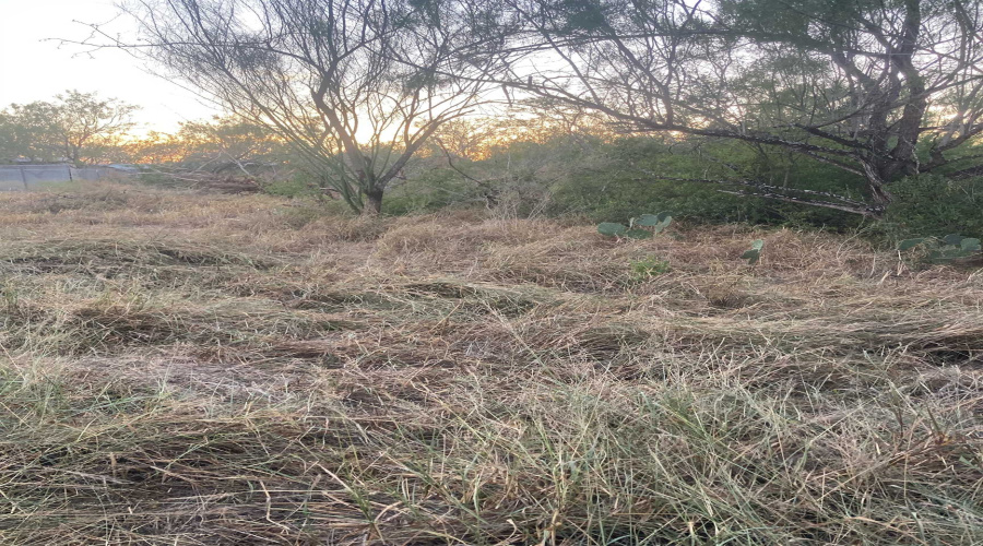 Lot 11 Falcon Mesa, Zapata, Texas 78076, ,Land,For Sale,Lot 11 Falcon Mesa,20255020