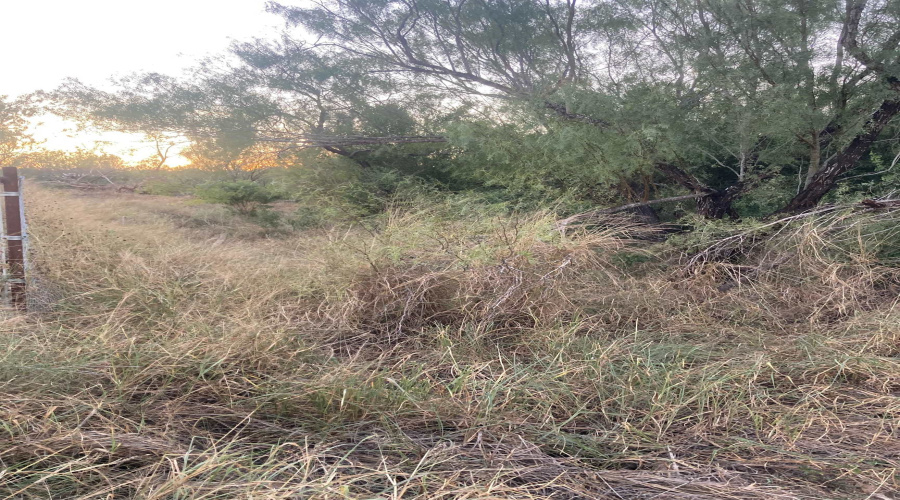 Lot 11 Falcon Mesa, Zapata, Texas 78076, ,Land,For Sale,Lot 11 Falcon Mesa,20255020