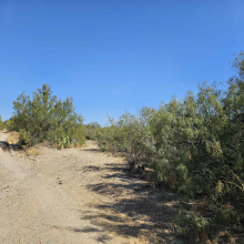 ABST 280 POR 10, Laredo, Texas 78045, ,Land,For Sale,ABST 280 POR 10,20255030