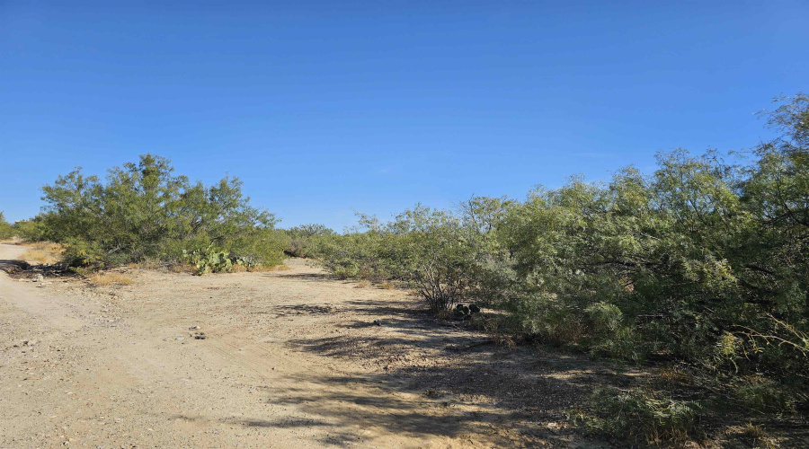 ABST 280 POR 10, Laredo, Texas 78045, ,Land,For Sale,ABST 280 POR 10,20255030