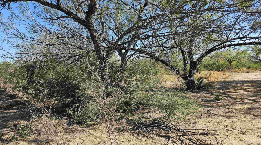 ABST 280 POR 10, Laredo, Texas 78045, ,Land,For Sale,ABST 280 POR 10,20255030