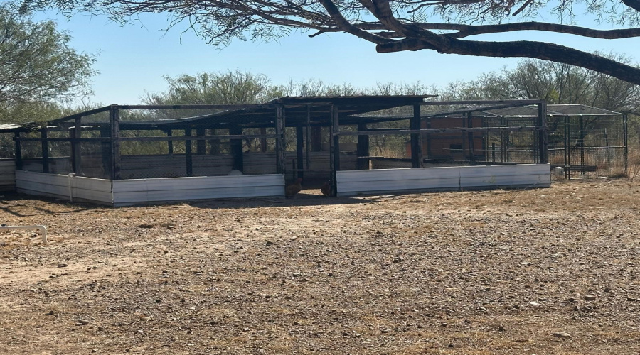 57 SUR 1450 F.M. 1472 (Mines Rd.), Laredo, Texas 78046, ,Land,For Sale,57 SUR 1450 F.M. 1472 (Mines Rd.),20255088