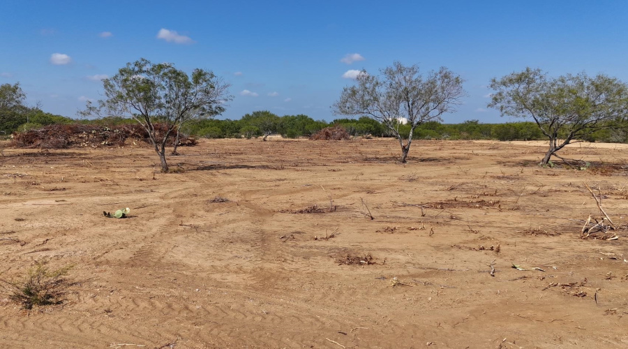 630 Los Huisaches Rd., Laredo, Texas 78045, ,Land,For Sale,630 Los Huisaches Rd.,20255126