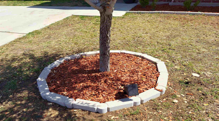 4405 Peacock St., Laredo, Texas 78045, 3 Bedrooms Bedrooms, 5 Rooms Rooms,2 BathroomsBathrooms,Residential,For Sale,4405 Peacock St.,20255133