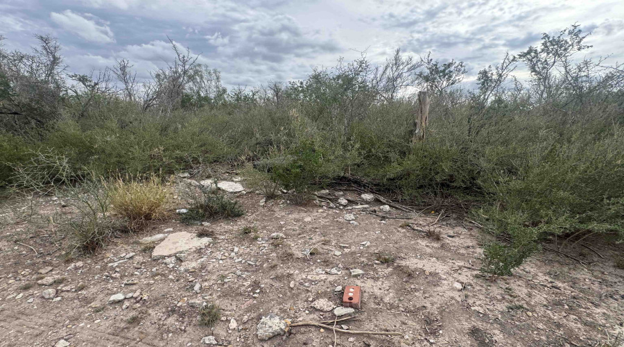 000 Valdez, Laredo, Texas 78041, ,Land,For Sale,000 Valdez,20255144