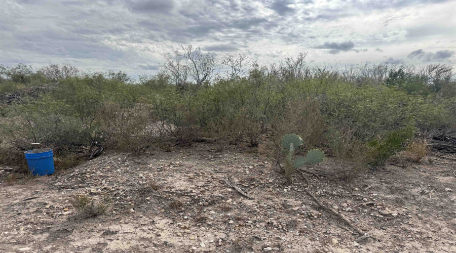 000 Valdez, Laredo, Texas 78041, ,Land,For Sale,000 Valdez,20255144