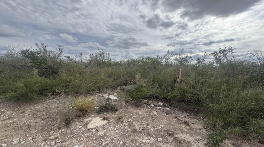 000 Valdez, Laredo, Texas 78041, ,Land,For Sale,000 Valdez,20255144