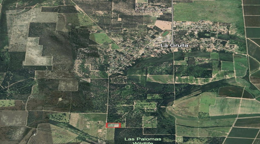 0 1st. St., La Grulla, Texas 78548, ,Land,For Sale,0 1st. St.,20255161