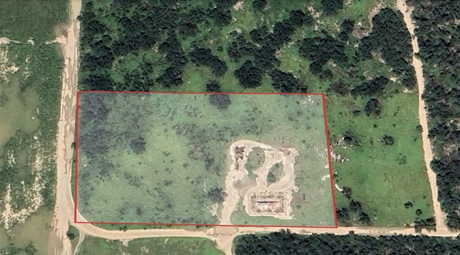 0 1st. St., La Grulla, Texas 78548, ,Land,For Sale,0 1st. St.,20255161