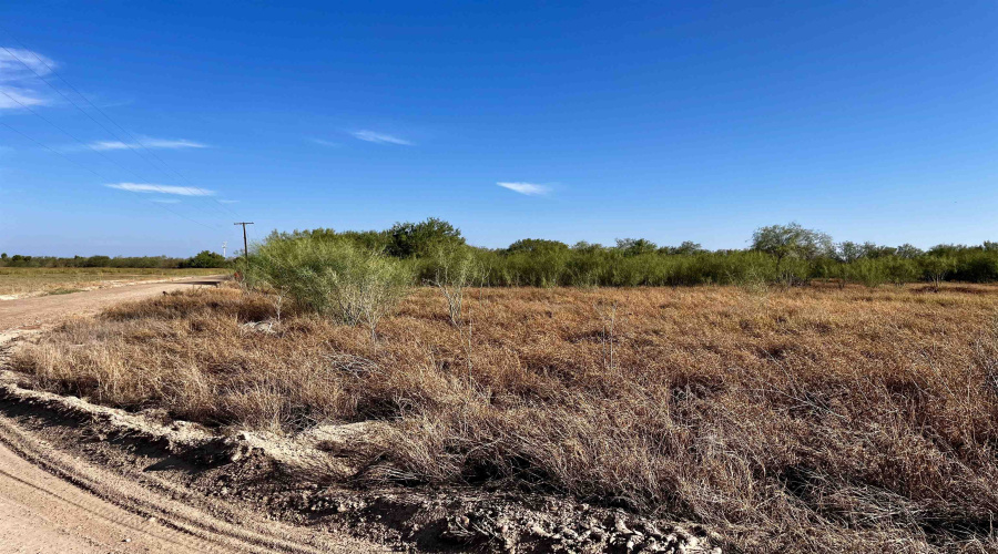 0 1st. St., La Grulla, Texas 78548, ,Land,For Sale,0 1st. St.,20255161