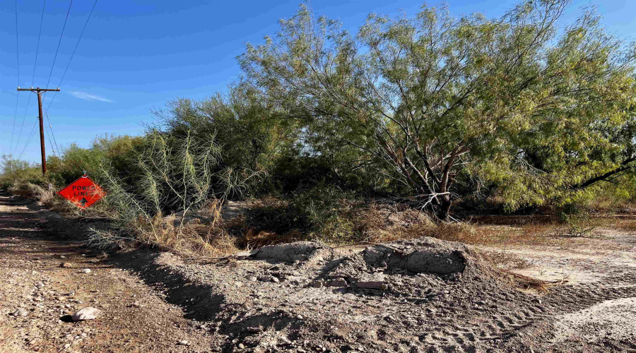 0 1st. St., La Grulla, Texas 78548, ,Land,For Sale,0 1st. St.,20255161