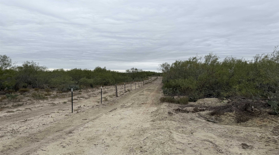 24 miles State Hwy 359, Aguilares, Texas 78369, ,Land,For Sale,24 miles State Hwy 359,20255212