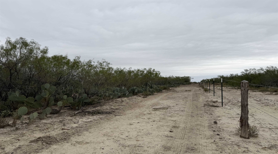 24 miles State Hwy 359, Aguilares, Texas 78369, ,Land,For Sale,24 miles State Hwy 359,20255212
