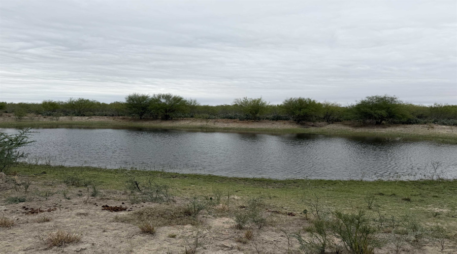 24 miles State Hwy 359, Aguilares, Texas 78369, ,Land,For Sale,24 miles State Hwy 359,20255212