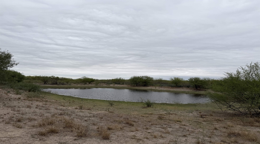 24 miles State Hwy 359, Aguilares, Texas 78369, ,Land,For Sale,24 miles State Hwy 359,20255212