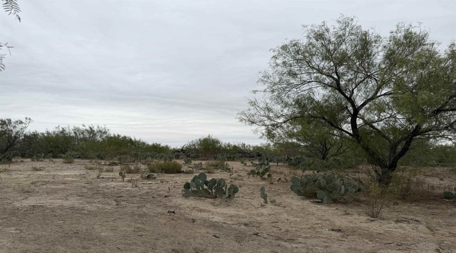 24 miles State Hwy 359, Aguilares, Texas 78369, ,Land,For Sale,24 miles State Hwy 359,20255212