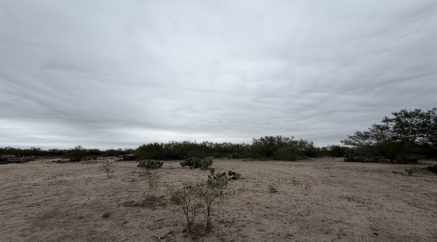 24 miles State Hwy 359, Aguilares, Texas 78369, ,Land,For Sale,24 miles State Hwy 359,20255212