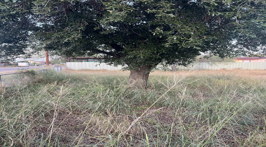 1409 Bravo Ave, Zapata, Texas 78076, 2 Bedrooms Bedrooms, 4 Rooms Rooms,1 BathroomBathrooms,Residential,For Sale,1409 Bravo Ave,20244749