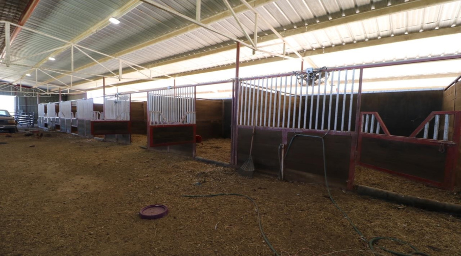 001 IH-35, Encinal, Texas 78019, ,Land,For Sale,001 IH-35,20255226