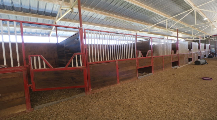 001 IH-35, Encinal, Texas 78019, ,Land,For Sale,001 IH-35,20255226