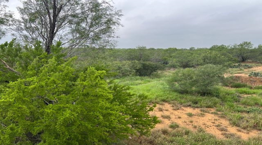 0000 N U.S. Hwy 83 North, LARED, Texas 78045-5555, ,Land,For Sale,0000 N U.S. Hwy 83 North,20255229