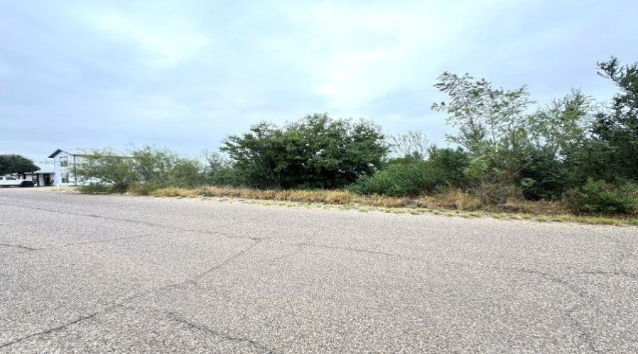 1409 Weslaco Ln, Zapata, Texas 78076, ,Land,For Sale,1409 Weslaco Ln,20255277